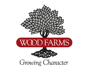 Logo Design by Martin Design