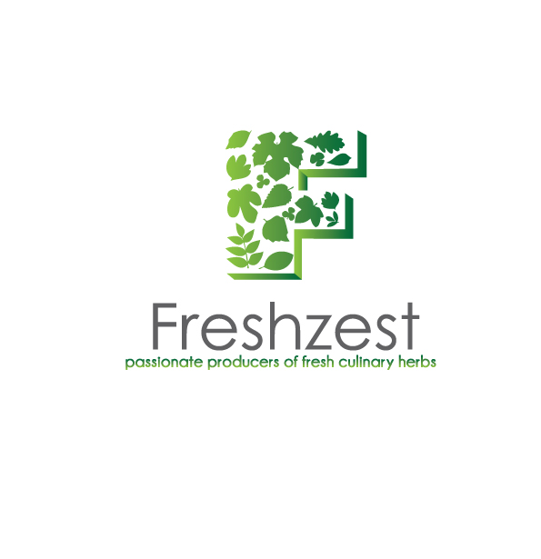 Logo Design by Bling Connect Ink for this project | Design #1647031