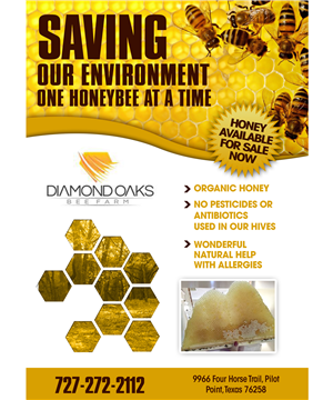 Diamond Oaks Bee Farm | Flyer Design by jeffdefy