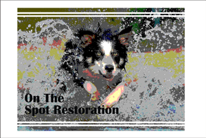 Design de Logo par artistecom pour On The Spot Restoration | Design : #6211371