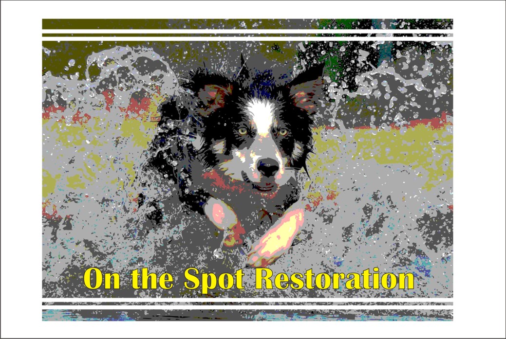 Logo Design by artistecom for On The Spot Restoration | Design #6211392