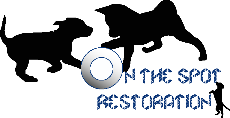Logo Design by Amy_Em for On The Spot Restoration | Design #6195943