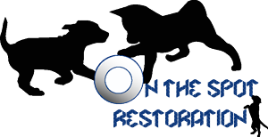 Design de Logo par Amy_Em pour On The Spot Restoration | Design : #6195943