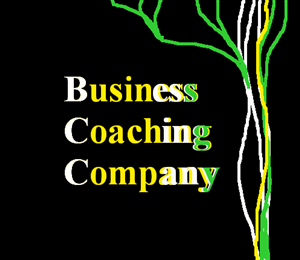 Logo Design by Lika Domra