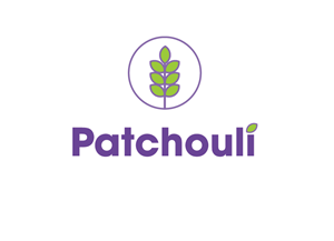 Logo Design by zagystars
