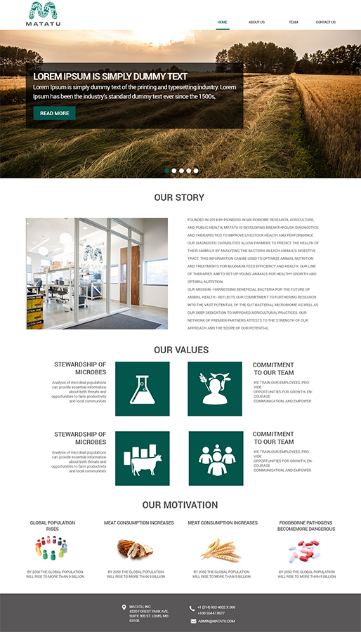 Web Design by TheCodeWire for this project | Design #6184057