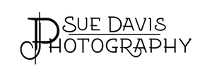 Logo-Design von DT DESIGN für Sue Davis Photography  | Design: #6221191
