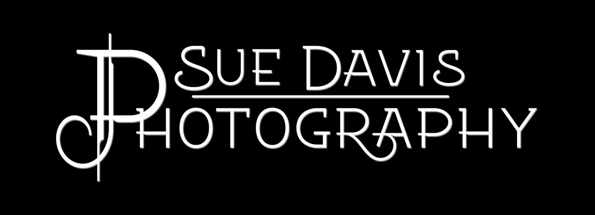 Logo Design by DT DESIGN for Sue Davis Photography  | Design #6221196
