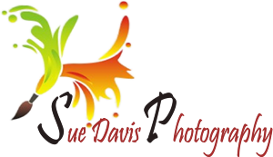 Logo-Design von sindhu993 für Sue Davis Photography  | Design: #6217329