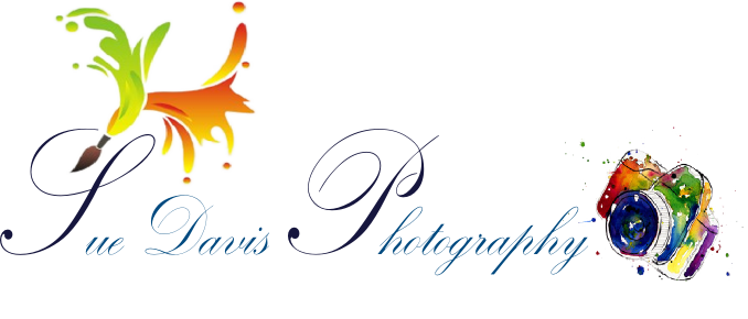 Logo-Design von sindhu993 für Sue Davis Photography  | Design #6217460