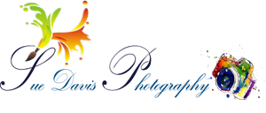 Logo-Design von sindhu993 für Sue Davis Photography  | Design: #6217460