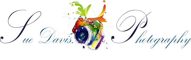 Logo-Design von sindhu993 für Sue Davis Photography  | Design #6217506