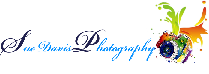 Logo-Design von sindhu993 für Sue Davis Photography  | Design #6217588