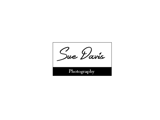 Logo Design by mineozsn for Sue Davis Photography  | Design #6214993