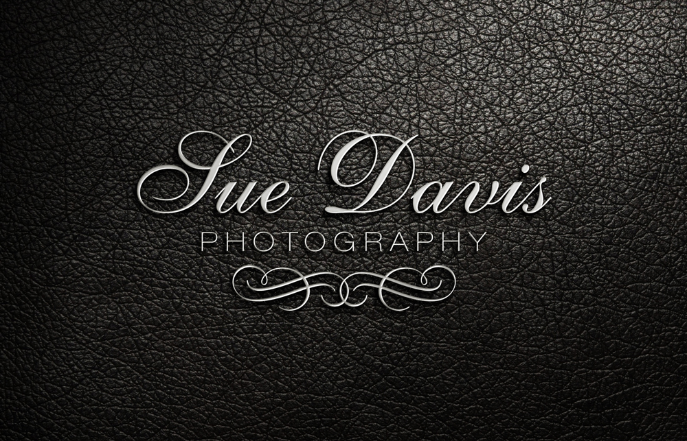 Logo Design by AHGDesign for Sue Davis Photography  | Design #6203687