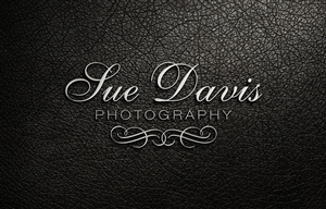 Sue Davis Photography  | Logo Design by AHGDesign
