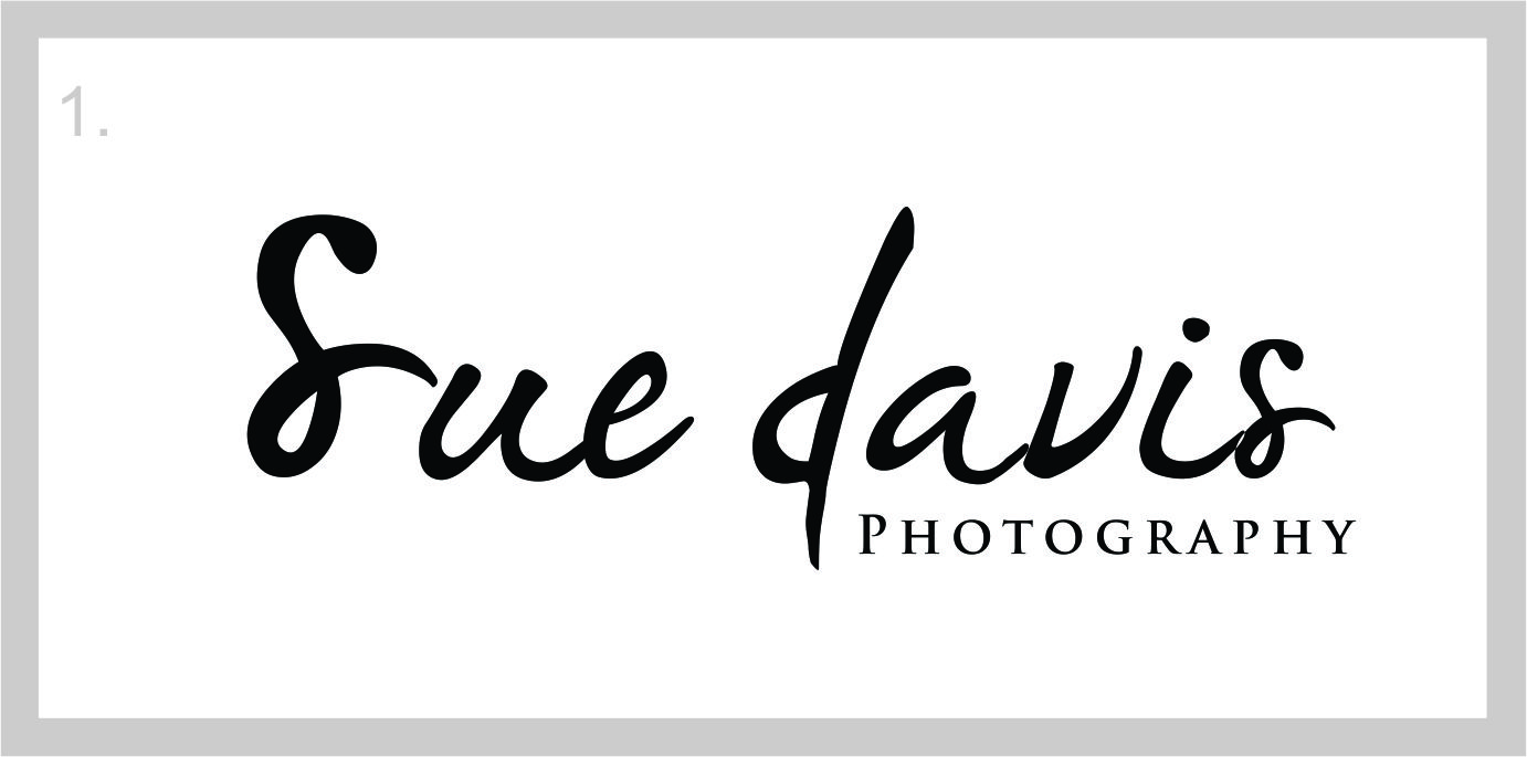 Logo Design by ESolz Technologies for Sue Davis Photography  | Design #6180852