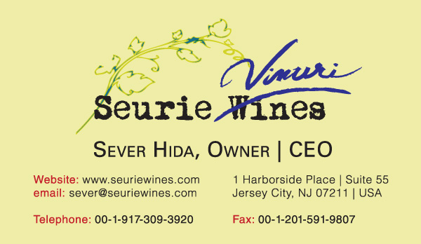 Business Card Design by PATRICK KING GRAPHICS for this project | Design #346181