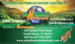 Business Card Design by AlanaFisher93