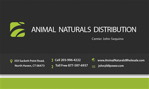 Business Card Design by denbondarwyk
