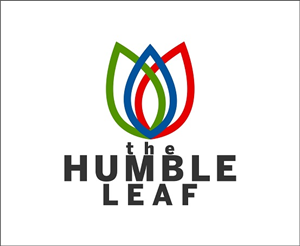 Logo Design by dangdingdung
