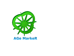 Logo Design by Burn Pixels