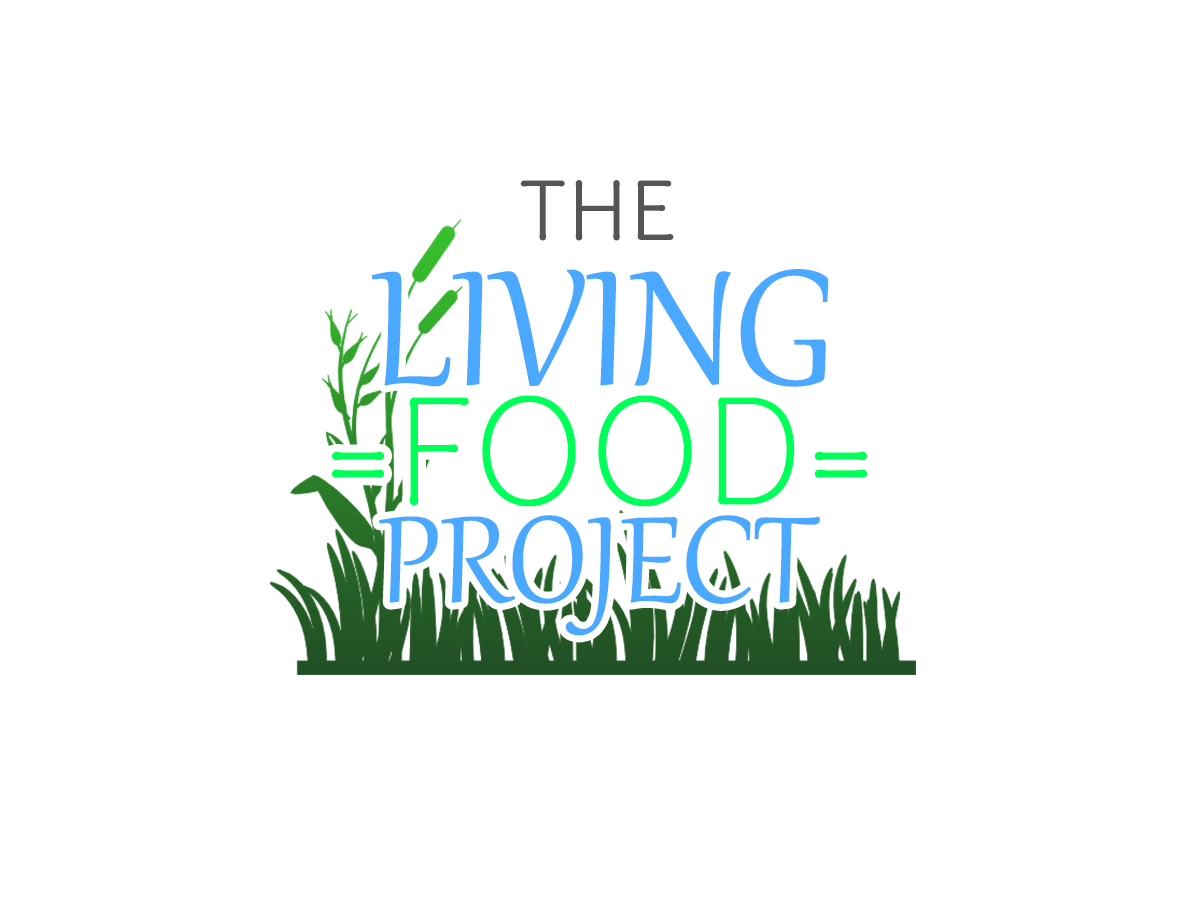 Logo Design by Joshua Ede for this project | Design #6268610