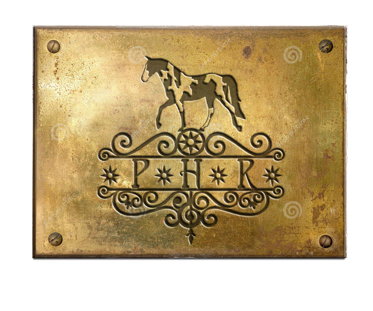 Logo Design by Living Horses Graphics for this project | Design #6339899