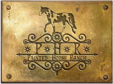 Logo Design by Living Horses Graphics for this project | Design #6462763