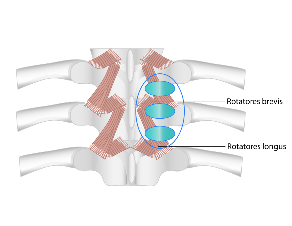 Illustration Design by Cecelia for this project | Design #1677047