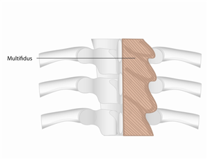 Illustration-Design von Cecelia für dieses Projekt | Design: #1677062