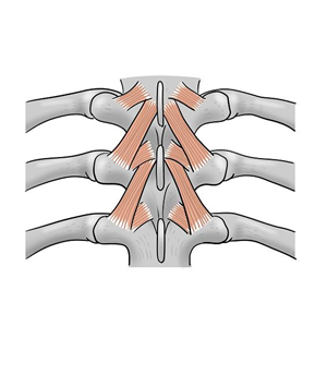 Illustration-Design von sdrum für dieses Projekt | Design: #1690501