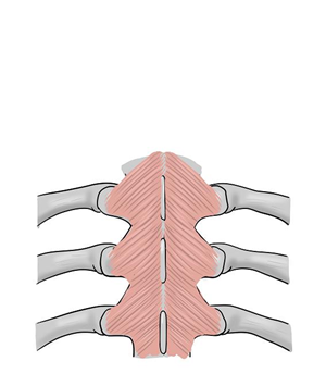 Illustration-Design von sdrum für dieses Projekt | Design: #1709498
