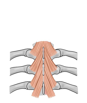 Illustration-Design von sdrum für dieses Projekt | Design: #1712070