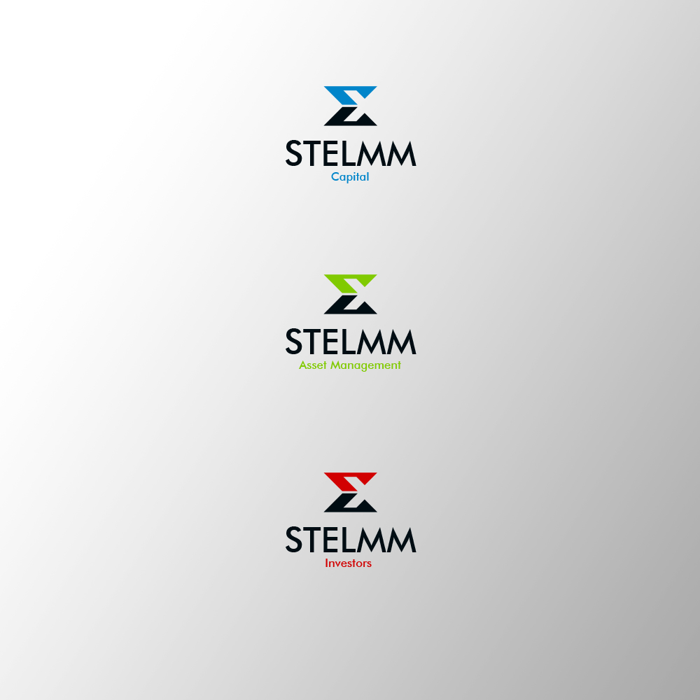 Logo Design by Naranbat Jargalsaikhan for STELMM Capital | Design #9362