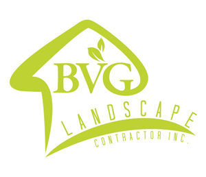 Logo Design by NeonDrawGraphics