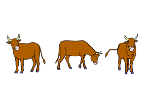 Character Design by florence may for this project | Design: #1670585