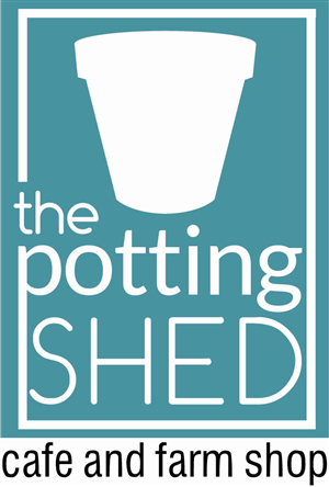 Logo Design by Rachelwhittney