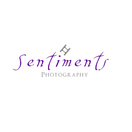 Logo Design by Marta Sobczak  for Sentiments Photography | Design #13678