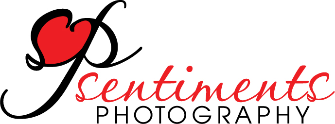 Logo Design by NiteOwl Designs for Sentiments Photography | Design #10761
