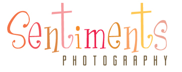 Logo Design by Rogue Media & Entertainment for Sentiments Photography | Design #8944
