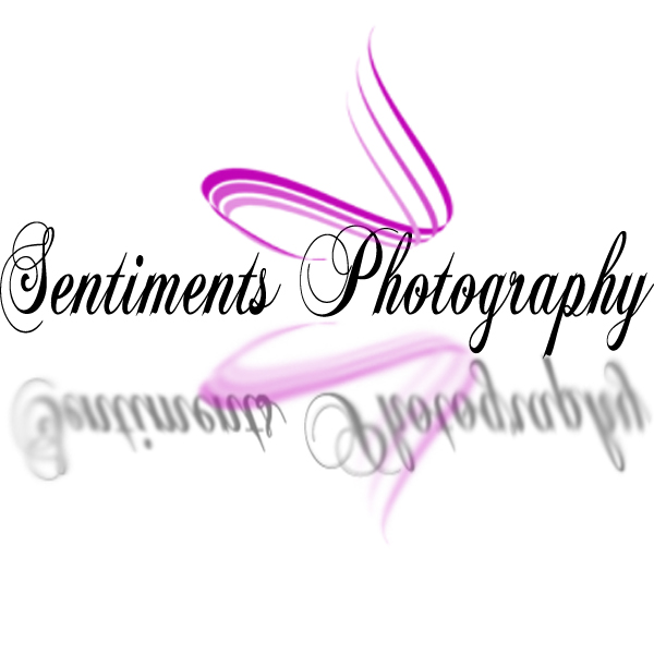 Design de Logo par B-Easy Designs pour Sentiments Photography | Design #9804