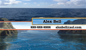 Business Card Design by depop2013