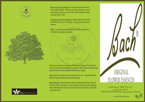 Brochure Design by Star Designer for Baching Mad Ltd | Design: #6288152