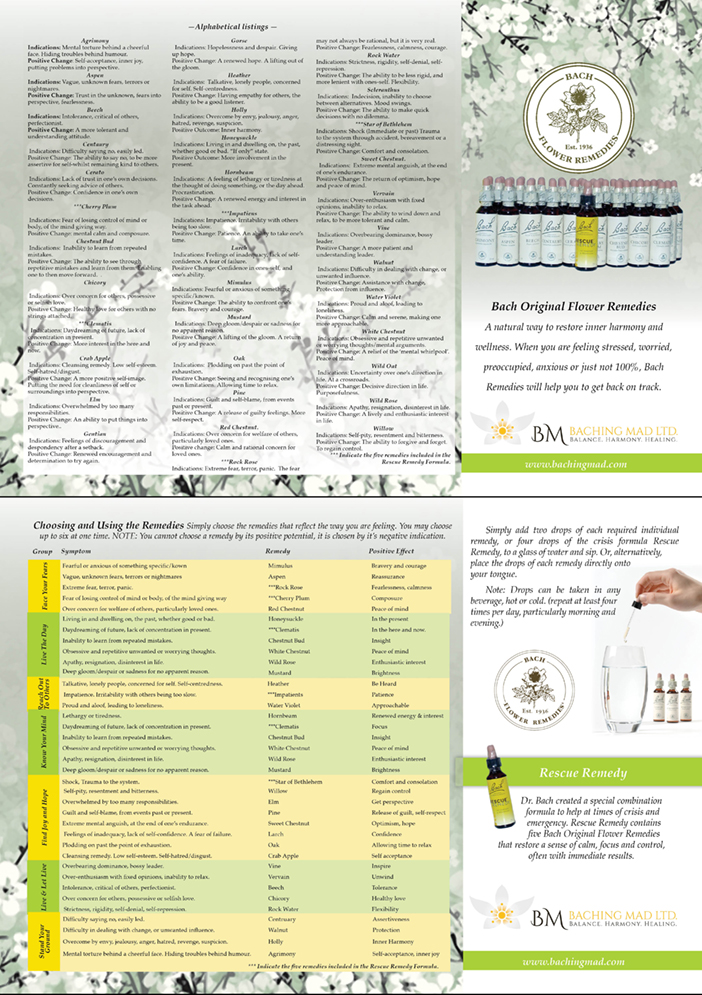 Brochure Design by Marcy M for Baching Mad Ltd | Design #6281399