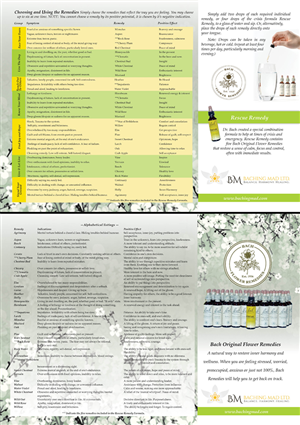 Brochure Design by Marcy M