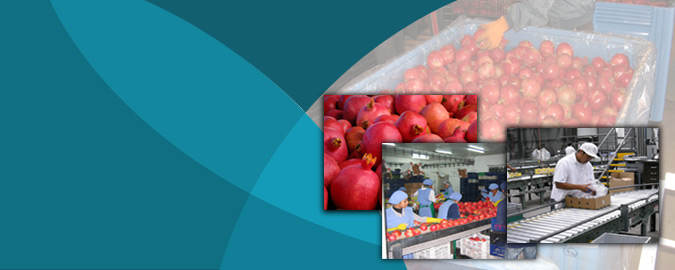 Banner-Design von DesignXyz für dieses Projekt | Design #329596