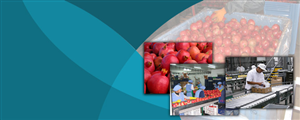 Banner Ad Design by DesignXyz
