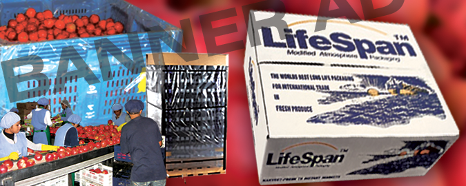 Banner Ad Design by PATRICK KING GRAPHICS for this project | Design #327829