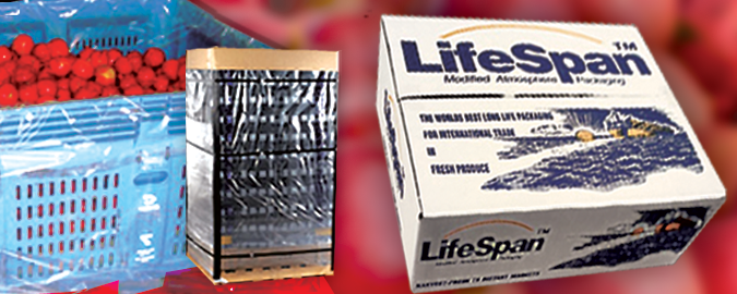 Banner Ad Design by PATRICK KING GRAPHICS for this project | Design #329133